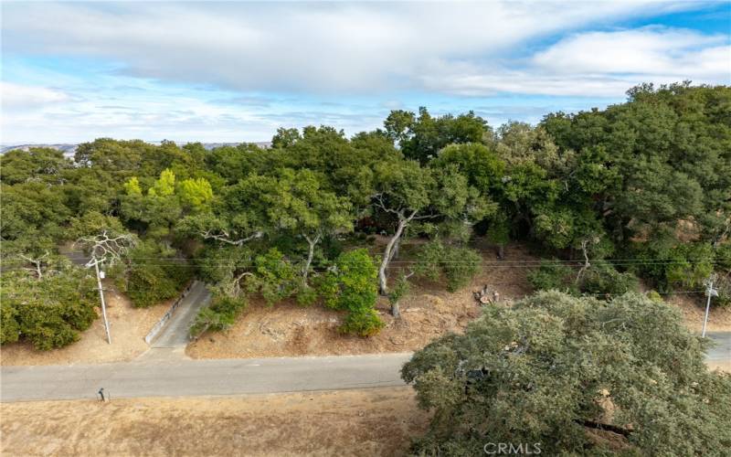 With the mature oaks and position on the hill, the home is hidden from the street.