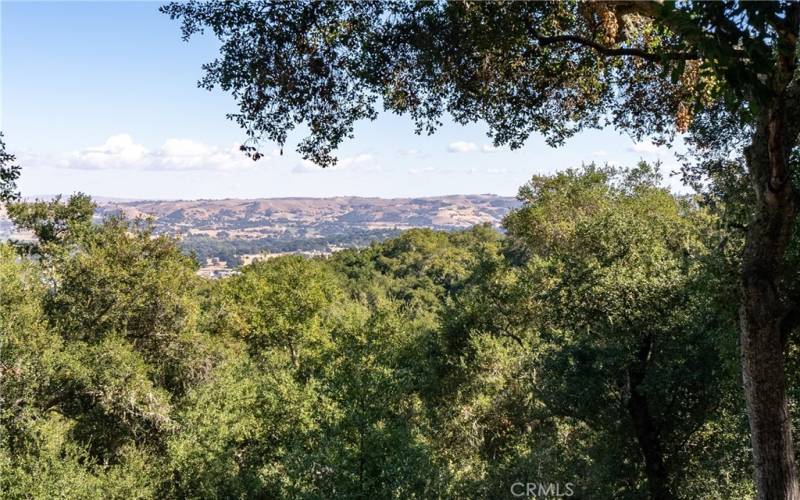 View to the back of the property.