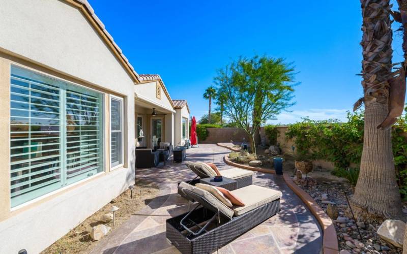 34-web-or-mls-JM_SunCactus_1124_034