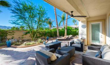 28-web-or-mls-JM_SunCactus_1124_028