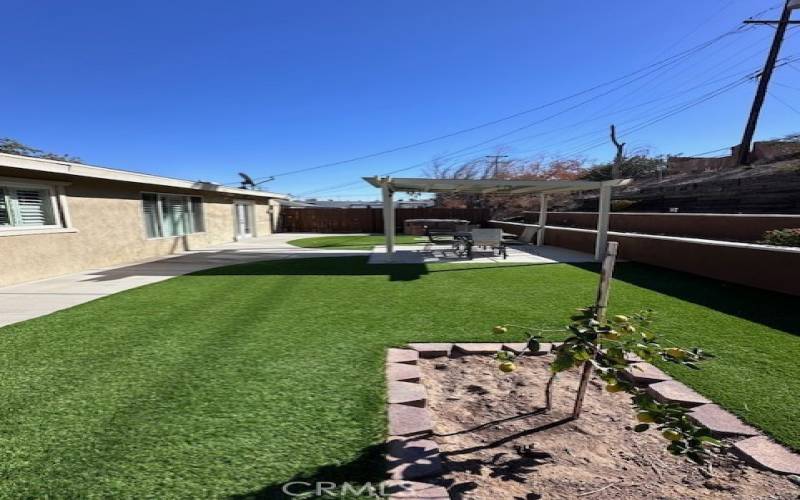 Rear yard with artificial grass