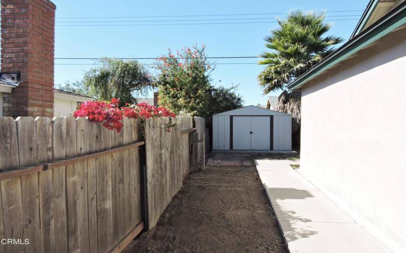 Side Yard + Shed