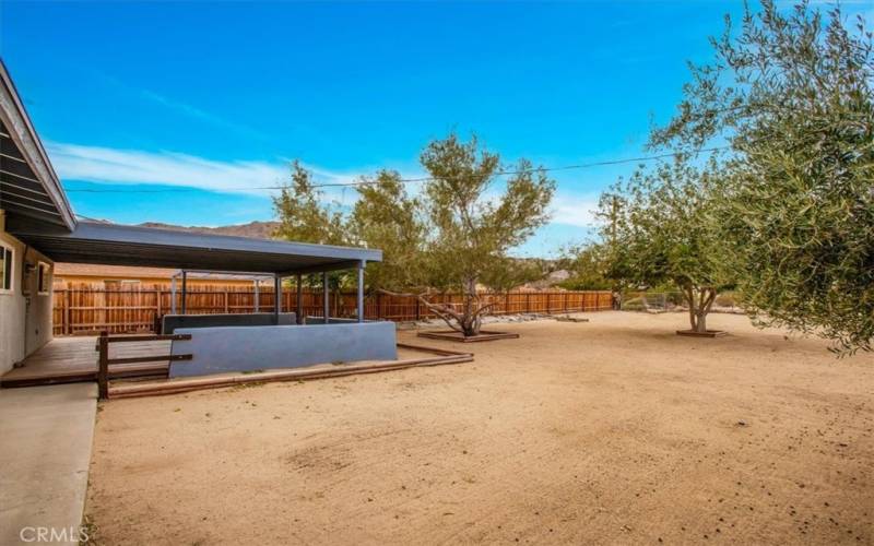 Rear yard w/ covered patio