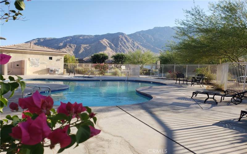 Community Pool Across the Street