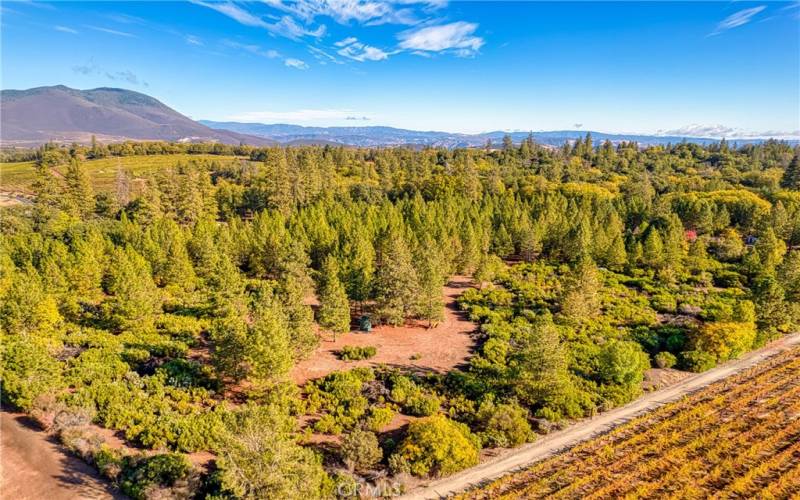 Building site for larger home , shop , or barn, in the clearing.  Current House is up front, top right area.