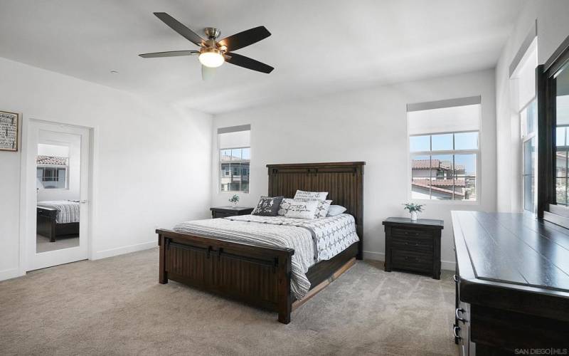 Another View of Primary Bedroom with Door Leading to Spacious Walk-in Closet - Check out all of the Gorgeous CUSTOM BLINDS!