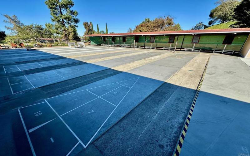 Community Shuffleboard