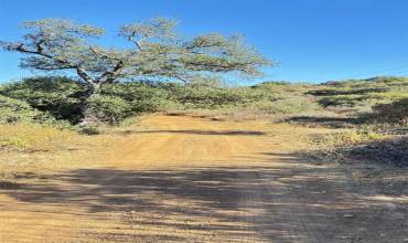 0 Bee Canyon Rd., Jamul, California 91935, ,Land,Buy,0 Bee Canyon Rd.,240026147SD