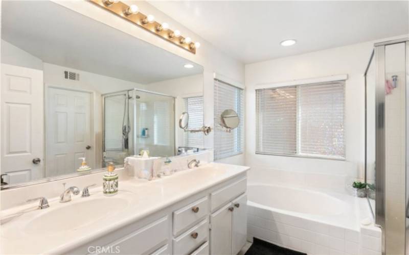 Bright and spacious primary bathroom featuring dual sinks, a large mirror, a separate shower, and a soaking tub with ample natural light.