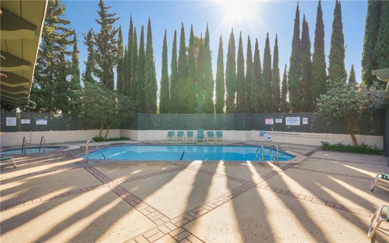 Gated swimming pool and relaxing spa