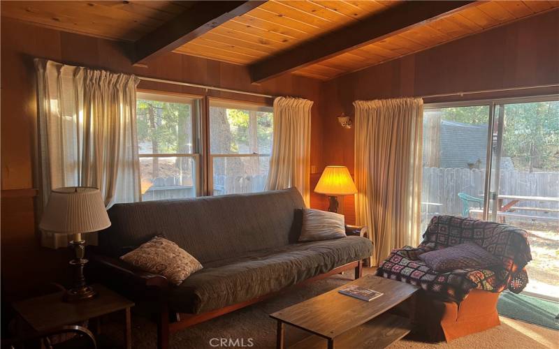 Living room with side deck access.