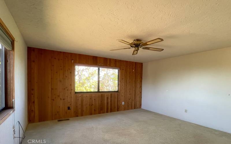 Knotty Pine accent wall with wooded views