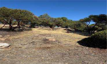 5238 Tewa Court, Kelseyville, California 95451, ,Land,Buy,5238 Tewa Court,LC24227605