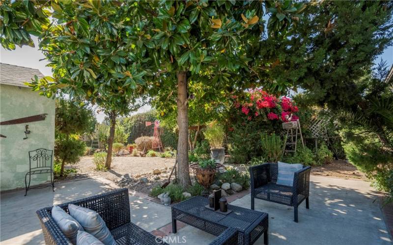 Beautiful drought tolerant serene backyard