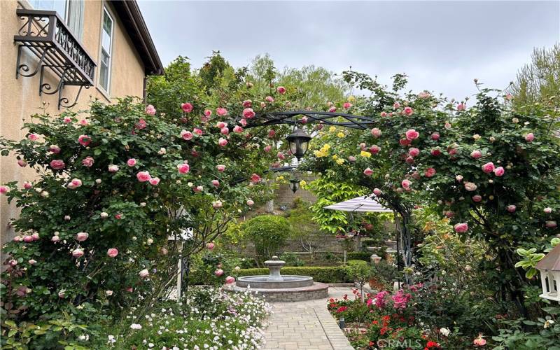 Flower Arch in Bloom