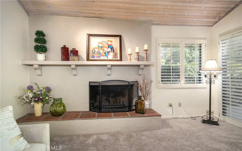 FIREPLACE WITH RAISED HEARTH