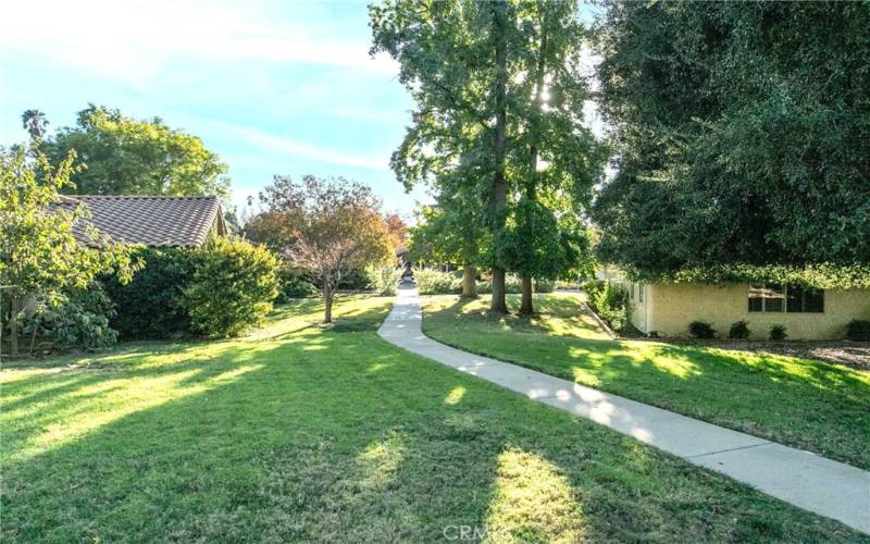 GREEN SPACE AND WALKING PATHS