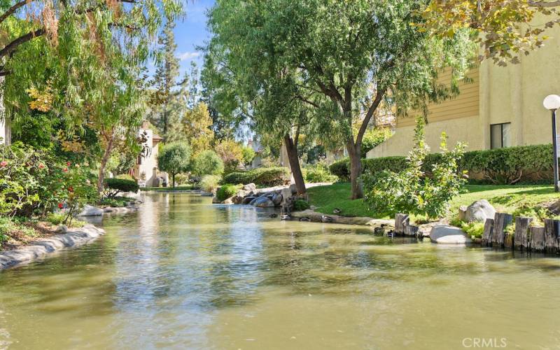 Serene water views.