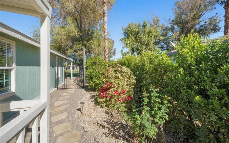 Side Walkway to back patio