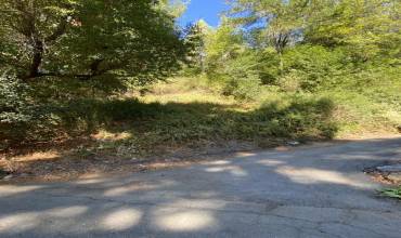 15840 Old County Highway, Boulder Creek, California 95006, ,Land,Buy,15840 Old County Highway,ML81985969