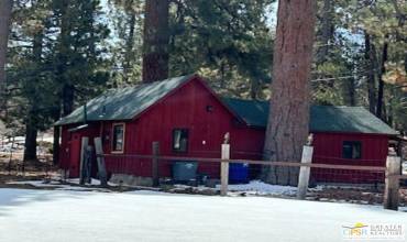 789 Tulip Lane, Big Bear, California 92315, ,Residential,Buy,789 Tulip Lane,24377135