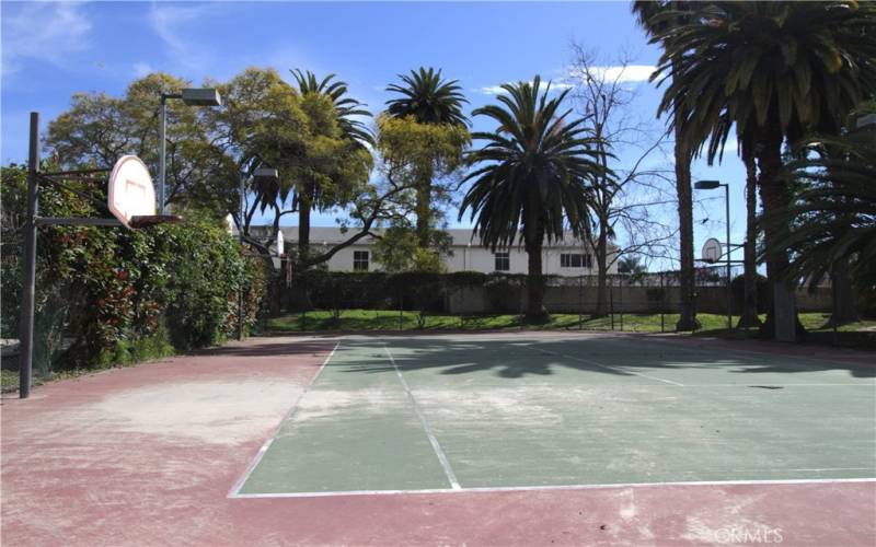 basketball court