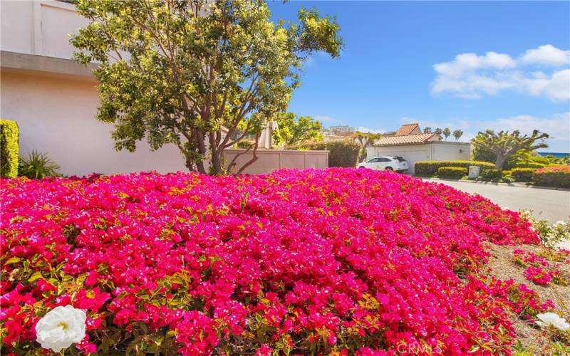 The community of Ocean Hills is beautifully maintained with mature trees and flowers everywhere!