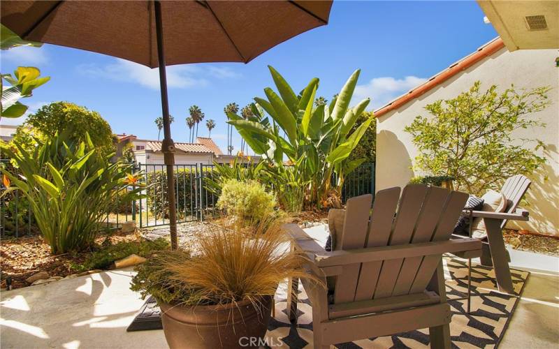 Backyard and patio area with wonderful tropical plants and your own lemon tree!