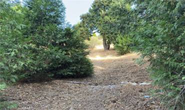 181 Fremont Drive, Lake Arrowhead, California 92352, ,Land,Buy,181 Fremont Drive,IV24229703