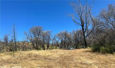 1460 Lumpkin Road, Oroville, California 95966, ,Land,Buy,1460 Lumpkin Road,SN24229861