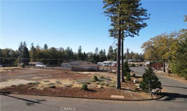 13605 Babson Court, Magalia, California 95954, ,Land,Buy,13605 Babson Court,SN24229507