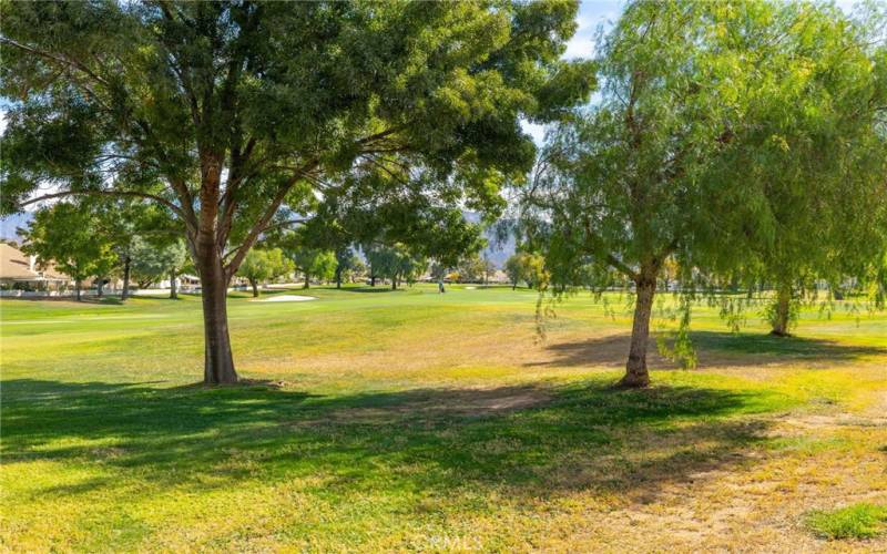 Golf Course View from patio