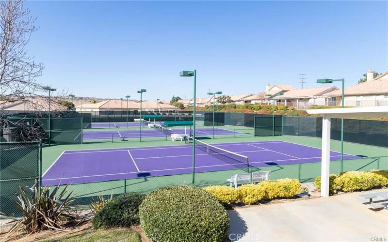 South club house tennis courts