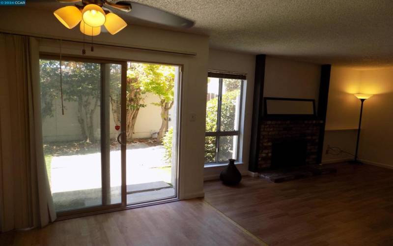 Looking out from Kitchen