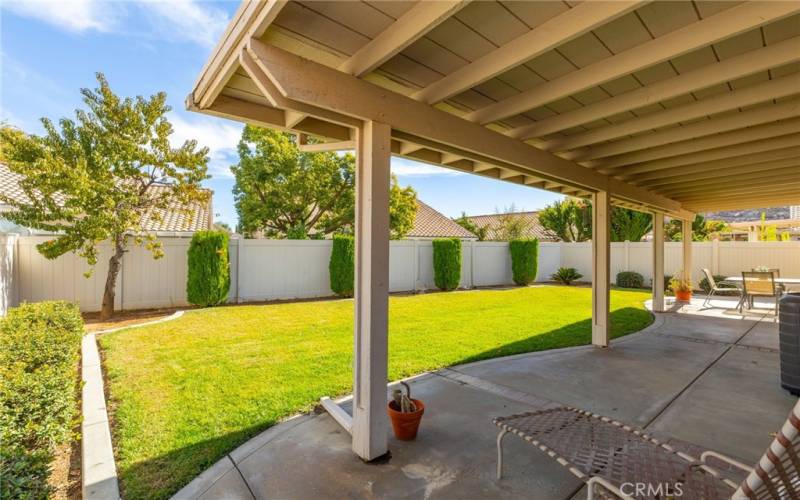 Backyard and patio area.