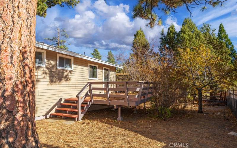 Large Backyard Deck