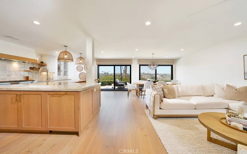 Open kitchen, living, dining area on lower level