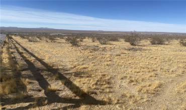 0 Delmonico Road, Oro Grande, California 92368, ,Land,Buy,0 Delmonico Road,TR24226685