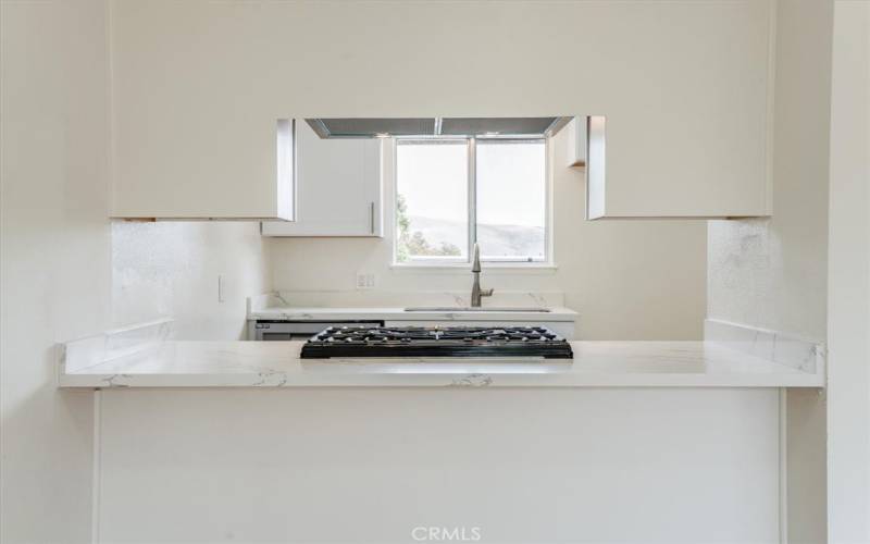 Kitchen Open to Living room