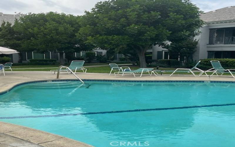 Pool with nice trees