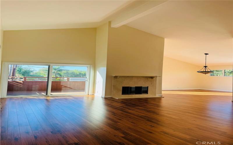 Living room with fireplace!