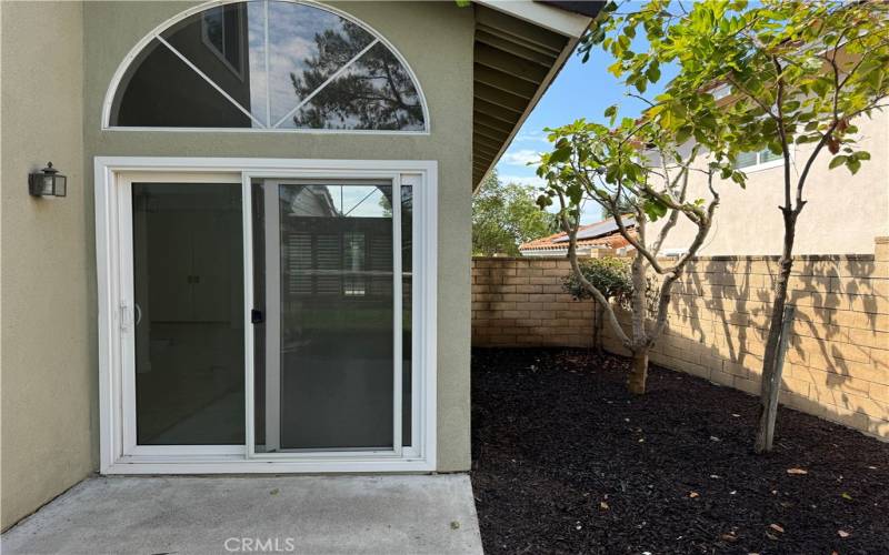 Two Patio Doors open to backyard