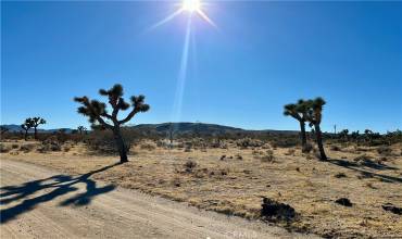 4726 Paradise View Road, Yucca Valley, California 92284, ,Land,Buy,4726 Paradise View Road,JT24229658