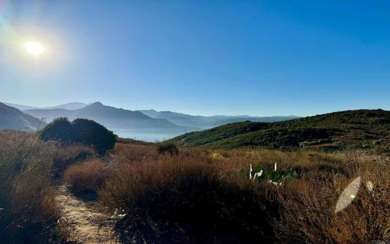 So many beautiful trails in SDCE for hiking,horses and bike riding.55 miles of interconnected trails