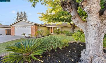 2038 Rainier Drive, Martinez, California 94553, 4 Bedrooms Bedrooms, ,2 BathroomsBathrooms,Residential,Buy,2038 Rainier Drive,41078566