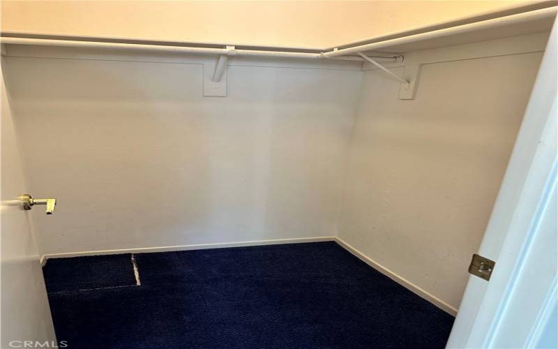 Guest Walk-in Closet