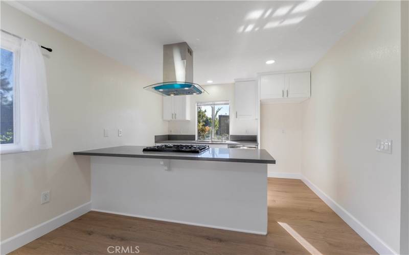 Open kitchen with large island.