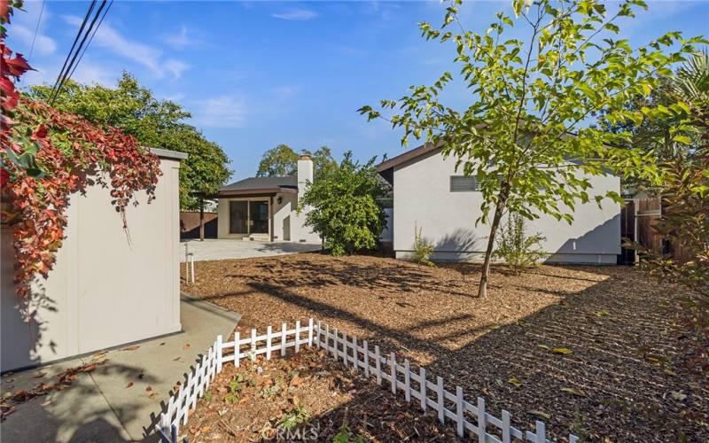 Low maintenance backyard of main house