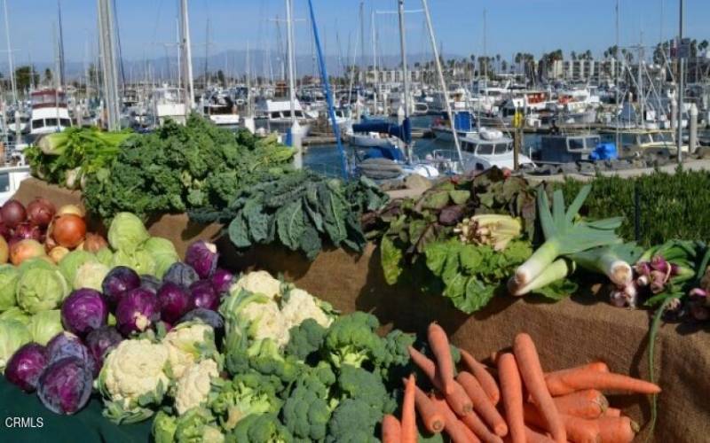 Port Hueneme channel islands farmers mar