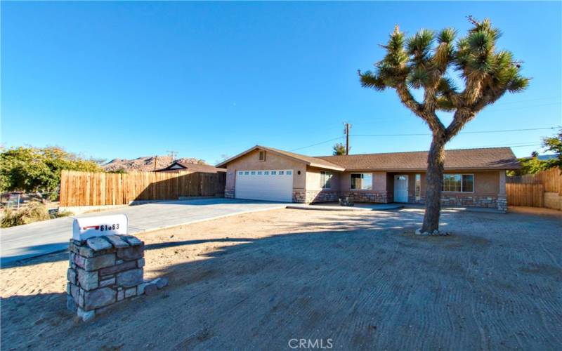 Front of home - large Joshua tree